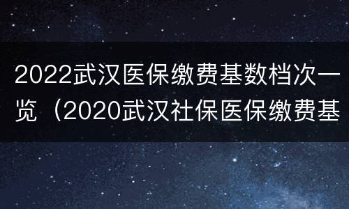 2022武汉医保缴费基数档次一览（2020武汉社保医保缴费基数档次）