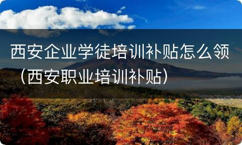 西安企业学徒培训补贴怎么领（西安职业培训补贴）