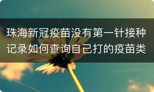珠海新冠疫苗没有第一针接种记录如何查询自己打的疫苗类型