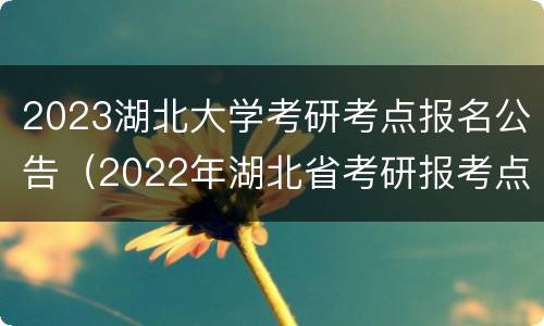 2023湖北大学考研考点报名公告（2022年湖北省考研报考点公告）