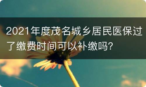2021年度茂名城乡居民医保过了缴费时间可以补缴吗？