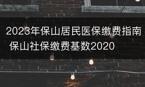 2023年保山居民医保缴费指南 保山社保缴费基数2020