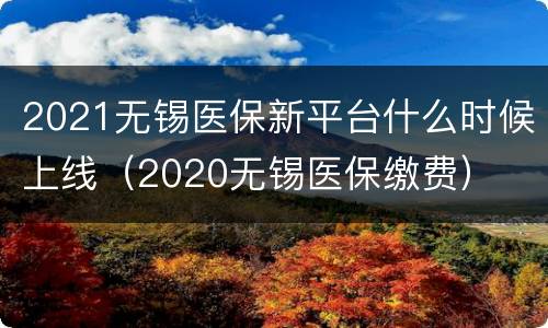 2021无锡医保新平台什么时候上线（2020无锡医保缴费）