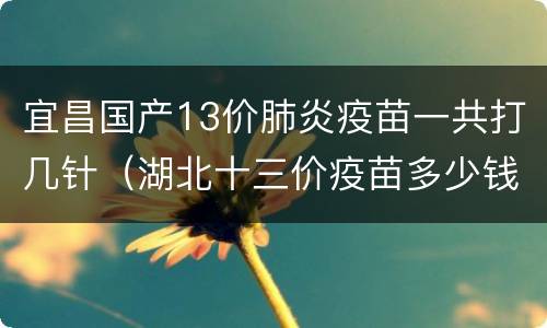 宜昌国产13价肺炎疫苗一共打几针（湖北十三价疫苗多少钱）