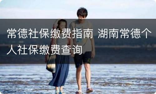 常德社保缴费指南 湖南常德个人社保缴费查询