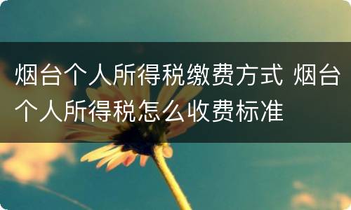 烟台个人所得税缴费方式 烟台个人所得税怎么收费标准