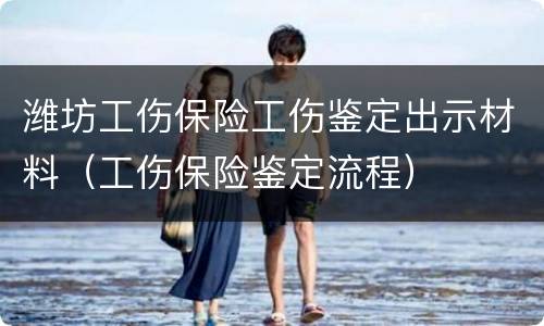 潍坊工伤保险工伤鉴定出示材料（工伤保险鉴定流程）