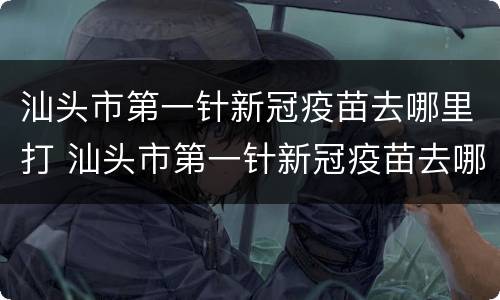 汕头市第一针新冠疫苗去哪里打 汕头市第一针新冠疫苗去哪里打针