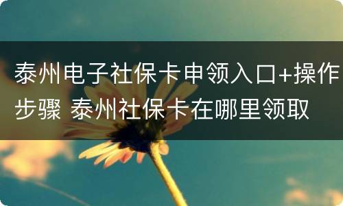 泰州电子社保卡申领入口+操作步骤 泰州社保卡在哪里领取
