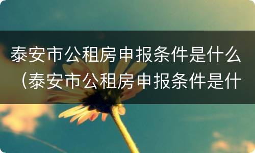 泰安市公租房申报条件是什么（泰安市公租房申报条件是什么样的）