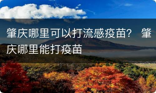 肇庆哪里可以打流感疫苗？ 肇庆哪里能打疫苗