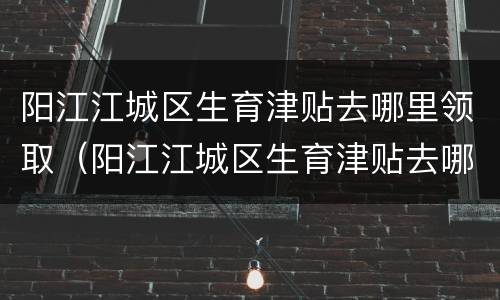 阳江江城区生育津贴去哪里领取（阳江江城区生育津贴去哪里领取呢）