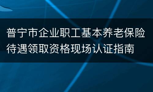 普宁市企业职工基本养老保险待遇领取资格现场认证指南