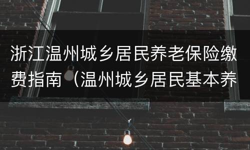 浙江温州城乡居民养老保险缴费指南（温州城乡居民基本养老保险）
