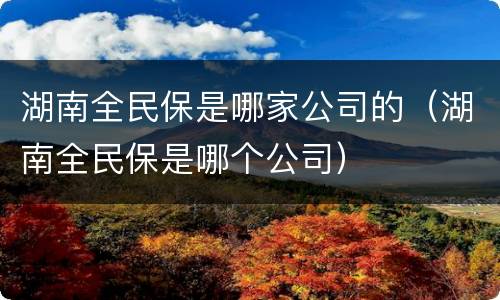 湖南全民保是哪家公司的（湖南全民保是哪个公司）