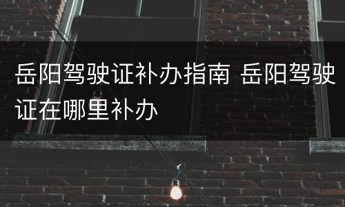 岳阳驾驶证补办指南 岳阳驾驶证在哪里补办