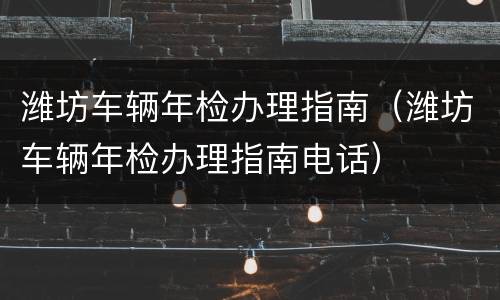 潍坊车辆年检办理指南（潍坊车辆年检办理指南电话）