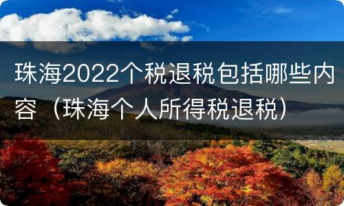 珠海2022个税退税包括哪些内容（珠海个人所得税退税）
