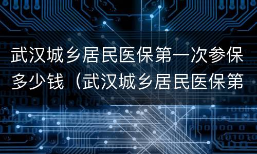 武汉城乡居民医保第一次参保多少钱（武汉城乡居民医保第一次参保多少钱啊）