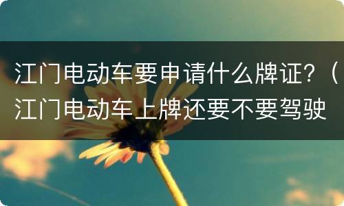 江门电动车要申请什么牌证?（江门电动车上牌还要不要驾驶证）
