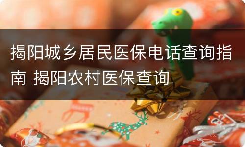 揭阳城乡居民医保电话查询指南 揭阳农村医保查询