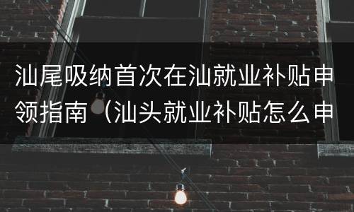 汕尾吸纳首次在汕就业补贴申领指南（汕头就业补贴怎么申请）