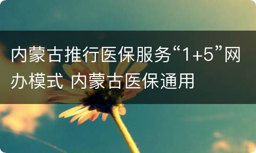 内蒙古推行医保服务“1+5”网办模式 内蒙古医保通用