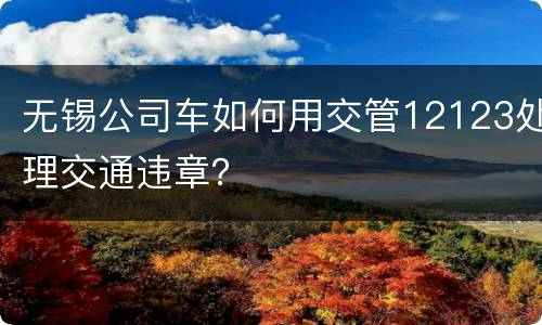 无锡公司车如何用交管12123处理交通违章？