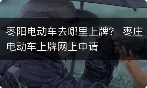 枣阳电动车去哪里上牌？ 枣庄电动车上牌网上申请