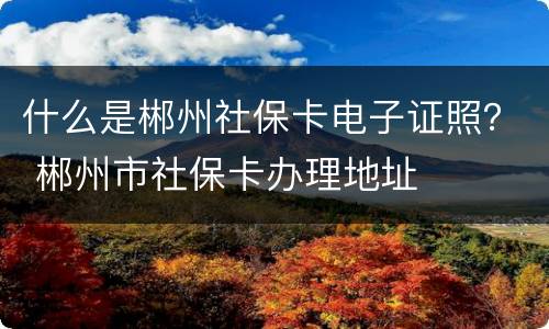 什么是郴州社保卡电子证照？ 郴州市社保卡办理地址