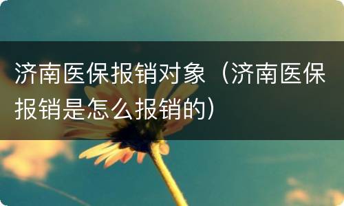 济南医保报销对象（济南医保报销是怎么报销的）