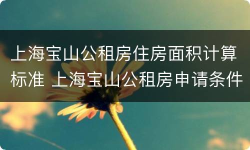 上海宝山公租房住房面积计算标准 上海宝山公租房申请条件