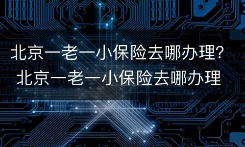 北京一老一小保险去哪办理？ 北京一老一小保险去哪办理