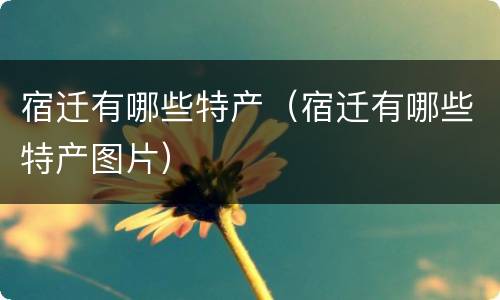 宿迁有哪些特产（宿迁有哪些特产图片）