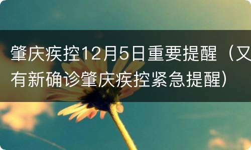 肇庆疾控12月5日重要提醒（又有新确诊肇庆疾控紧急提醒）