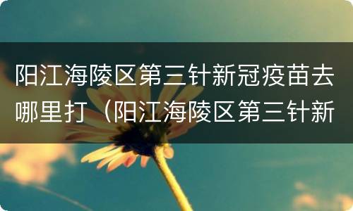 阳江海陵区第三针新冠疫苗去哪里打（阳江海陵区第三针新冠疫苗去哪里打针）