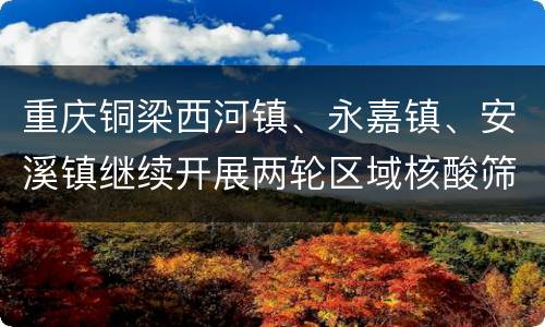 重庆铜梁西河镇、永嘉镇、安溪镇继续开展两轮区域核酸筛查