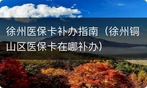 徐州医保卡补办指南（徐州铜山区医保卡在哪补办）
