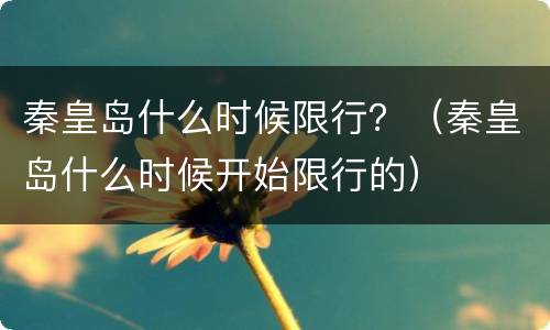 秦皇岛什么时候限行？（秦皇岛什么时候开始限行的）