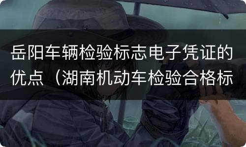 岳阳车辆检验标志电子凭证的优点（湖南机动车检验合格标志电子凭证）