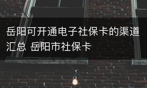 岳阳可开通电子社保卡的渠道汇总 岳阳市社保卡