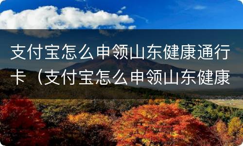支付宝怎么申领山东健康通行卡（支付宝怎么申领山东健康通行卡呢）