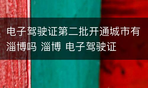 电子驾驶证第二批开通城市有淄博吗 淄博 电子驾驶证