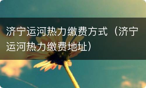 济宁运河热力缴费方式（济宁运河热力缴费地址）