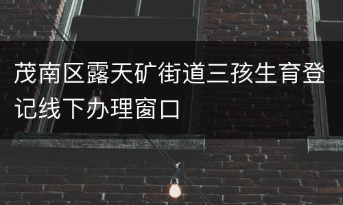 茂南区露天矿街道三孩生育登记线下办理窗口