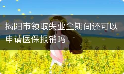 揭阳市领取失业金期间还可以申请医保报销吗