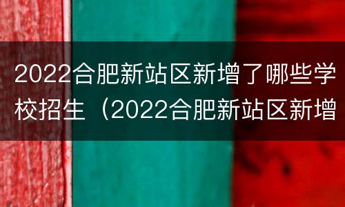 2022合肥新站区新增了哪些学校招生（2022合肥新站区新增了哪些学校招生计划）