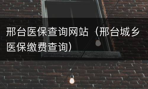 邢台医保查询网站（邢台城乡医保缴费查询）