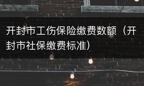 开封市工伤保险缴费数额（开封市社保缴费标准）