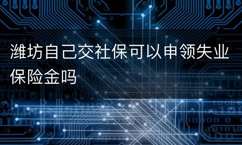 潍坊自己交社保可以申领失业保险金吗